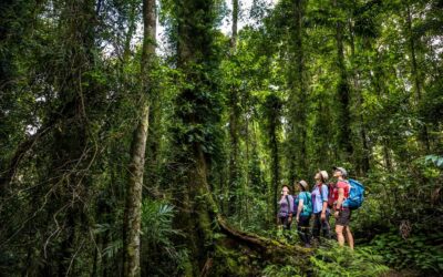 Binna Burra welcomes Scenic Rim achieving ECO Destination Certification